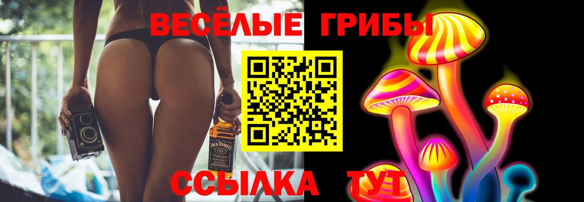 Ангарск  Псилоцибиновые грибы мухоморы  Псилоцибиновые грибы Magic Shrooms  Вход с VPN 